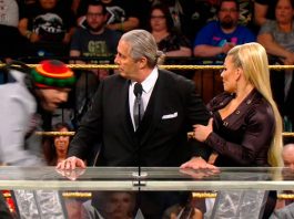 video fan ataca bret hart wwe hall of fame